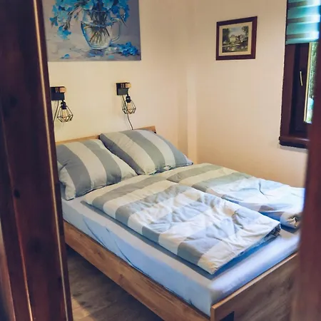 Vogtland Mit Sauna Und Hot Tub * Weischlitz