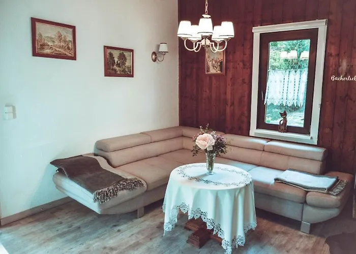 Vogtland Mit Sauna Und Hot Tub Weischlitz